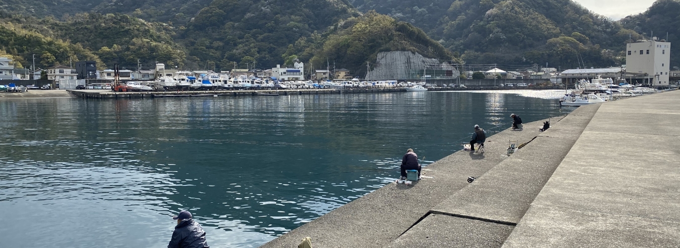 静浦漁港