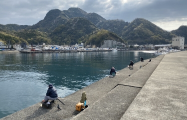 静浦漁港