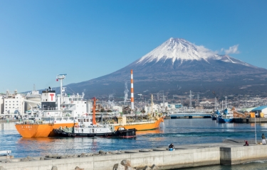 田子漁港